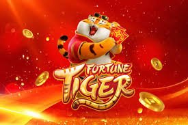 555rr live casino section with immersive table visuals and clear mobile controls